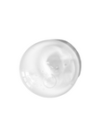 Scalp Shampoo