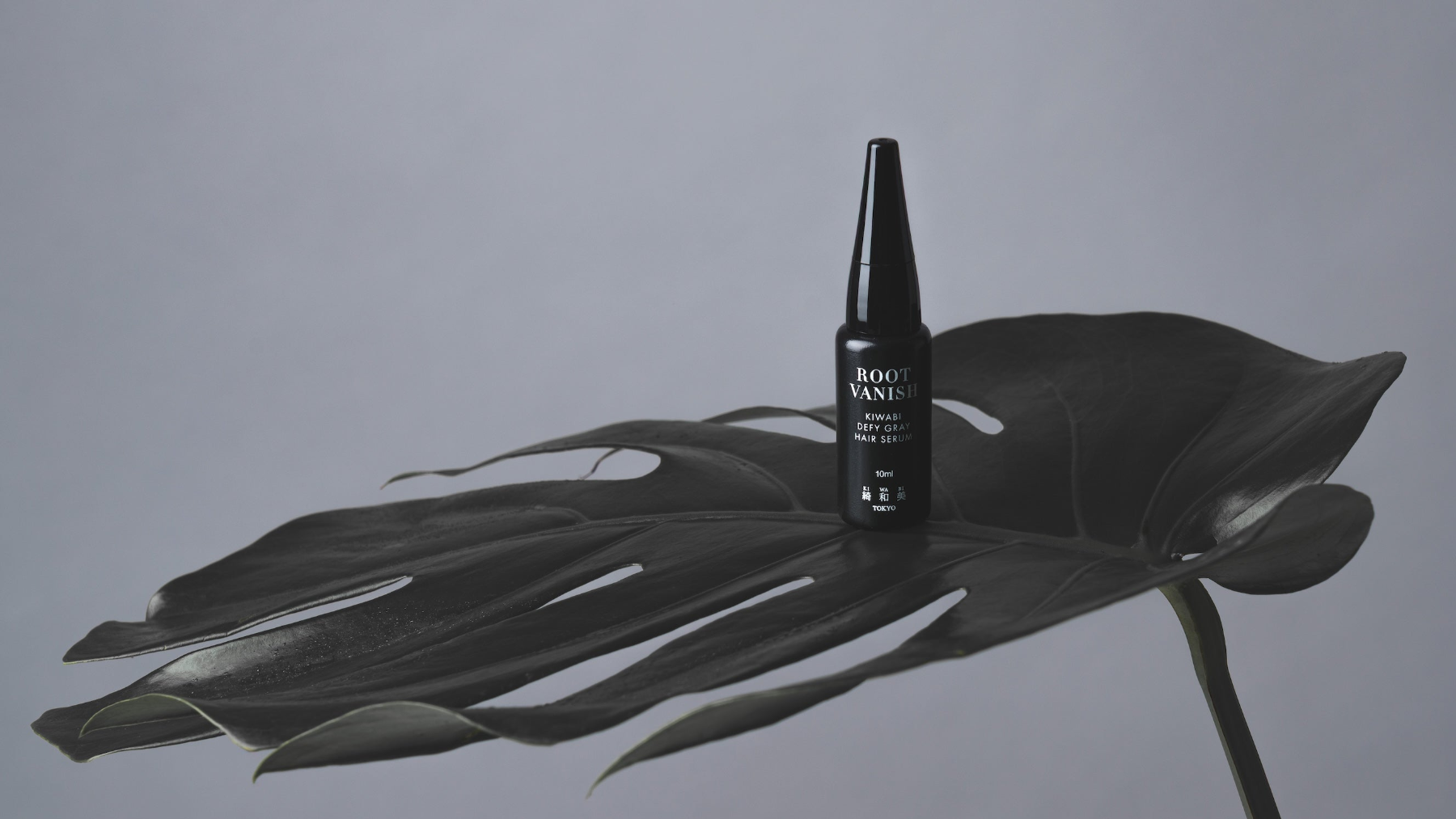 Root Vanish Reverse Gray Hair