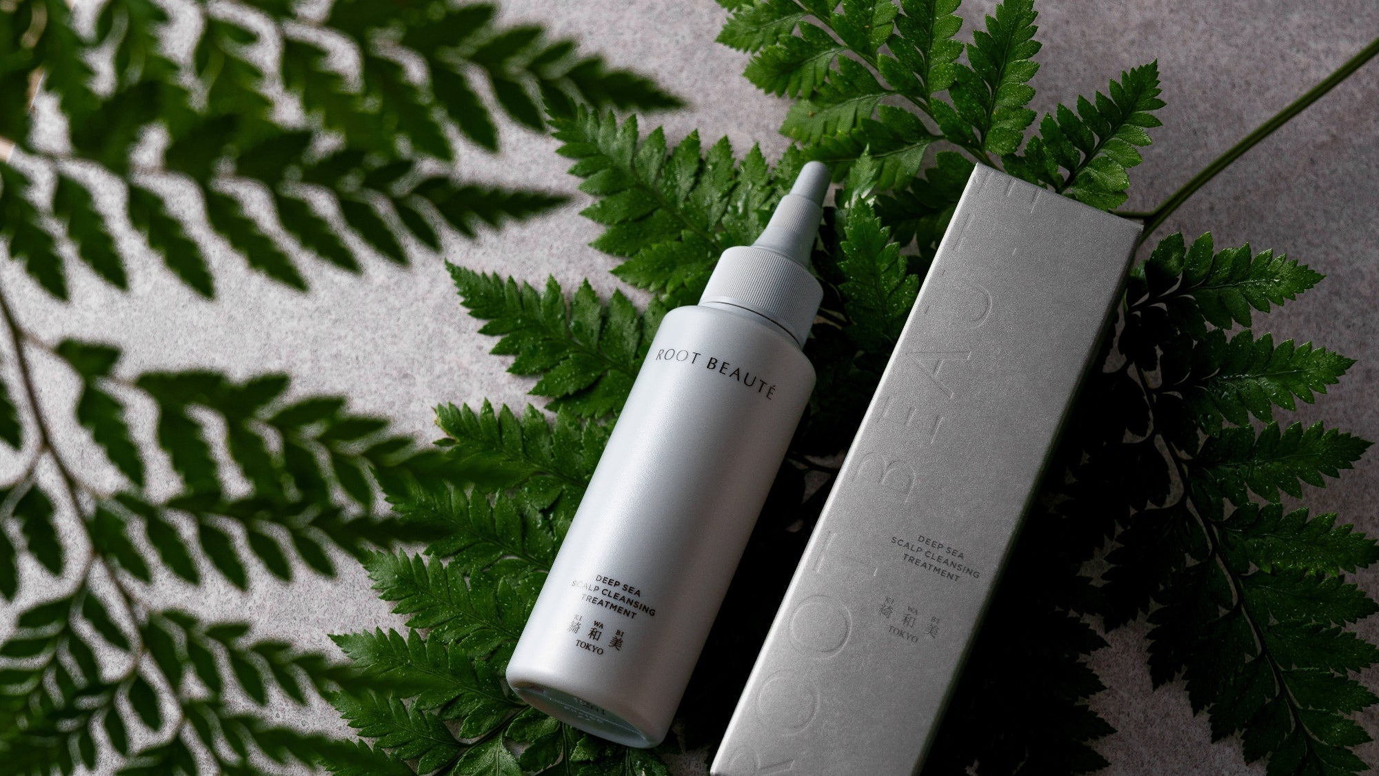 kiwabi root beaute scalp detox